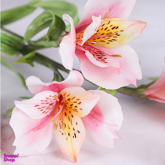 ست کاتر و وینر فوندانت به گز مدل گل آلسترومریا مجموعه 6 عددی