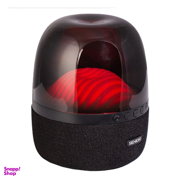 اسپیکر بلوتوثی قابل حمل کی اف-سنیور کد KF Senior R-810