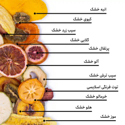 مخلوط میوه خشک بارجیل