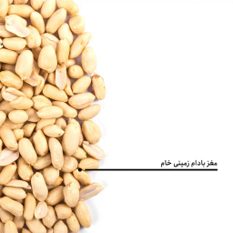 مغز بادام زمینی خام بارجیل
