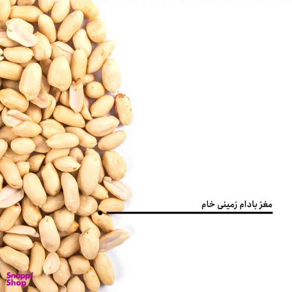 مغز بادام زمینی خام بارجیل