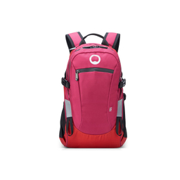 کوله پشتی دلسی مدل NOMADE کد 3335610