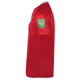 تیشرت ورزشی مردانه مروژ مدل ایران Away WC2022