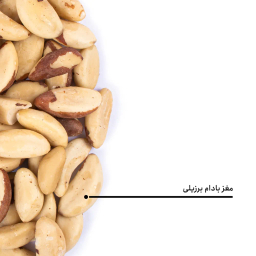 مغز بادام برزیلی خام بارجیل