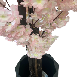 درختچه شکوفه درسا کد 5712 رنگ صورتی