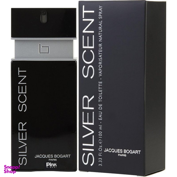 ادوپرفیوم مردانه پینک ویژوآل مدل سیلور سنت حجم 100 میلی لیتر