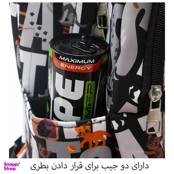 کوله پشتی پسرانه توریث مدل AA-150003