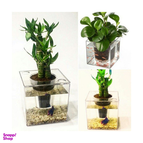 آکواریوم مدل گلدان مجموعه دو عددی