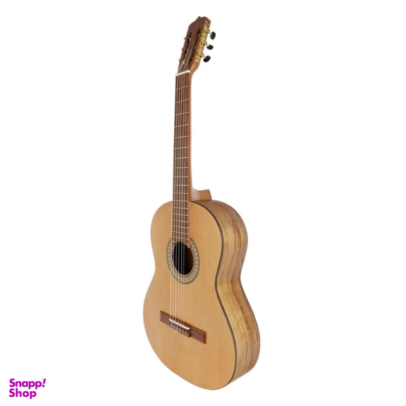 گیتار پارسی مدل P70 کد 4 همراه با کاور