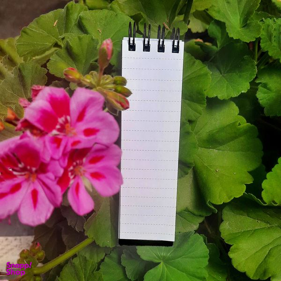 بسته لوازم تحریر پدیده نقش مدل فضانورد بسته 3 عددی