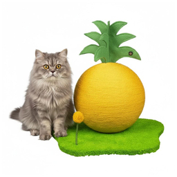 اسکرچر گربه مدل آناناس