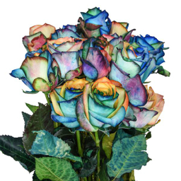 دسته گل رز هلندی هفت رنگ هیمان مدل Ro02