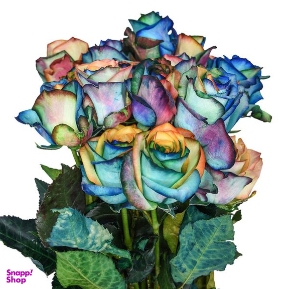 دسته گل رز هلندی هفت رنگ هیمان مدل Ro02