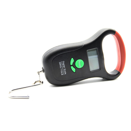 ترازو وزن کشی قلاب دار مدل متر داخلی کد 50Kg/10G Hook-Scale