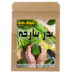 بذر پیازچه اصلاح شده آنتیک خاک مدل PZ
