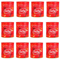 کنسرو رب گوجه فرنگی روژین وزن 800 گرم بسته 12 عددی