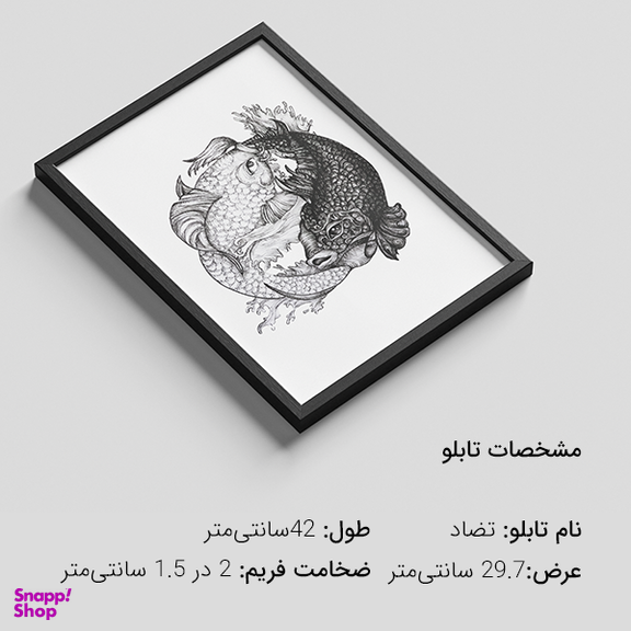 تابلو نقاشی مدل تضاد