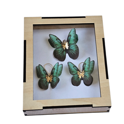 نیم ست طلا 18 عیار زنانه طرح آدونیس کد 3358