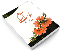 کتاب غریب آشنا اثر مریم سعیدی نژاد نشر مهاجر