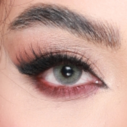 لنز رنگی سالیانه هرا شماره 09 کد RYA310 رنگ سبز طوسی دور مشکی