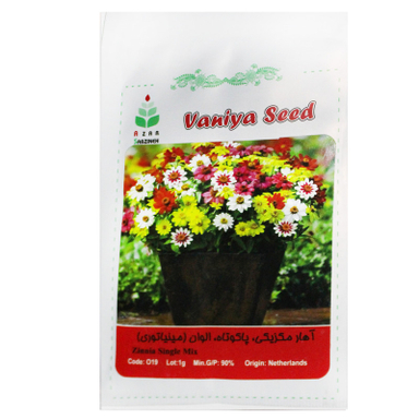 بذر آهار مکزیکی پا کوتاه الوان آذر سبزینه مدل A161