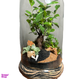 تراریوم بنسای پلنت لند مدل یلو موج