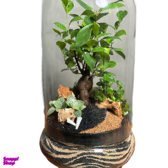 تراریوم بنسای پلنت لند مدل یلو موج