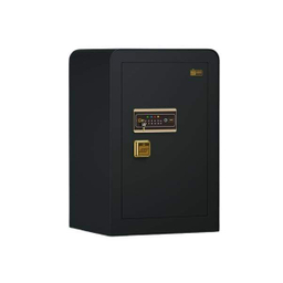 گاوصندوق سدید مدل 800LF