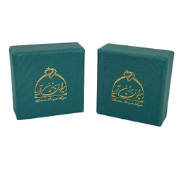 گوشواره طلا 18 عیار زنانه امیران برزین آریا کد 1085