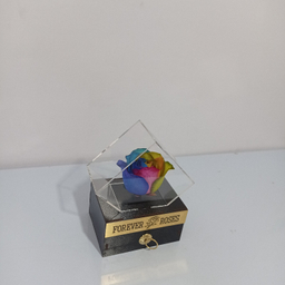 گل خشک رز جاودان کد 507