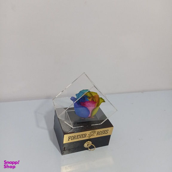گل خشک رز جاودان کد 507
