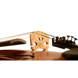 ویولن تی اف مدل TF142 سایز 4/4