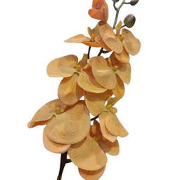 گل ارکیده مصنوعی کد 053 رنگ خردلی