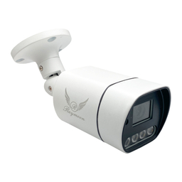 دوربین مداربسته تحت شبکه رایمون مدل 5 مگاپیکسل Q60 Network Surveillance