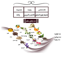 ادو پرفیوم مردانه ایفوریا مدل لالیک بلک حجم 100 میلی لیتر