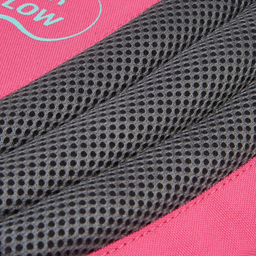 کوله پشتی دلسی مدل ارگونومیک کد 339162509