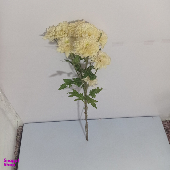 شاخه گل طبیعی داوودی کد 20