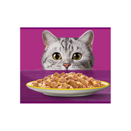 غذای تر پوچ گربه ویسکاس طعم بوقلمون وزن 85 گرم