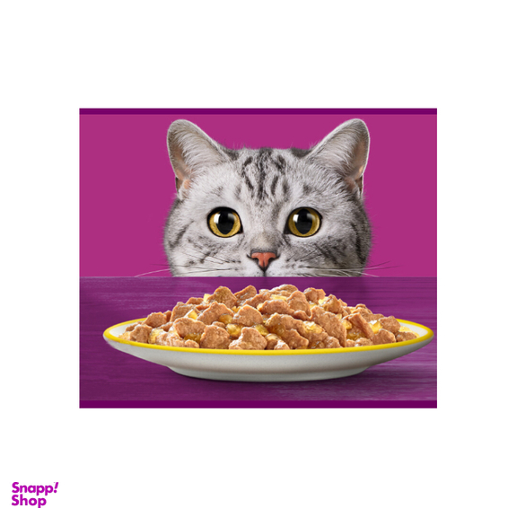 غذای تر پوچ گربه ویسکاس طعم بوقلمون وزن 85 گرم