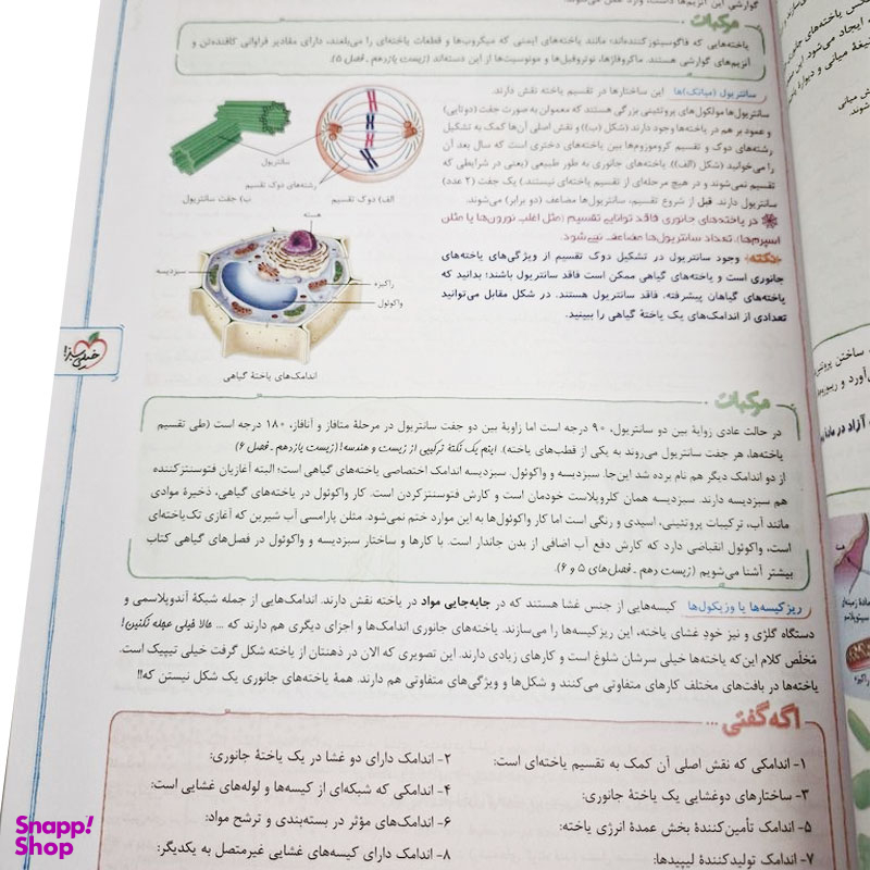 کتاب پرسش های چهار گزینه ای زیست شناسی دهم ویژه کنکور 1406 اثر جمعی از نویسندگان انتشارات خیلی سبز