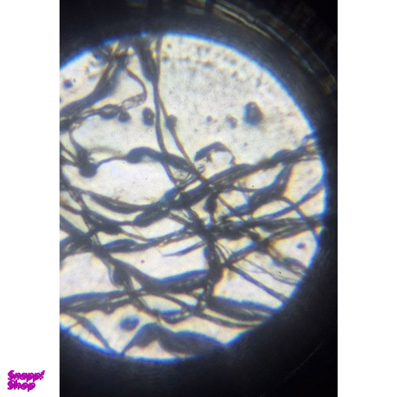 میکروسکوپ کامار مدل فلزی 900X به همراه نمونه