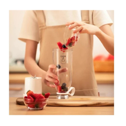 مخلوط کن قابل حمل مدل Fresh Juice گنجایش 500 میلی لیتر