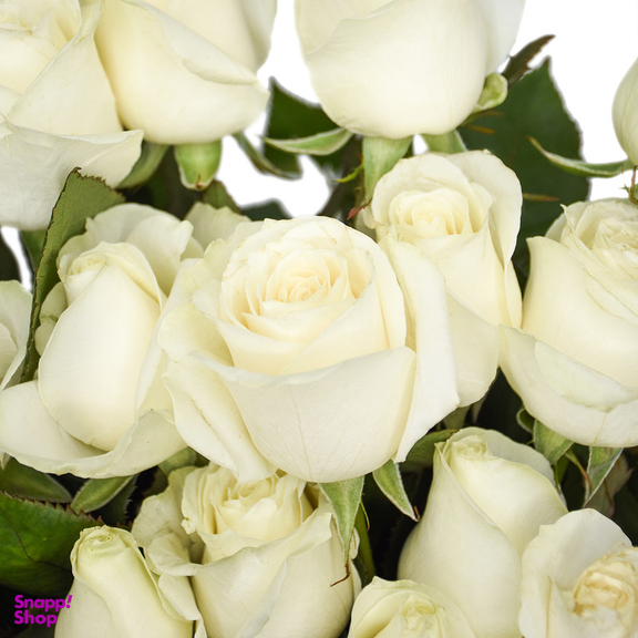 دسته گل رز هلندی هیمان کد Ro07