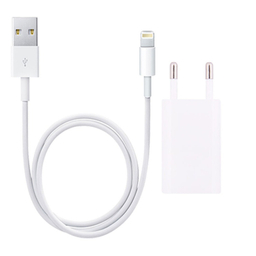 شارژر دیواری جی تی آر مدل LT به همراه کابل Lightning