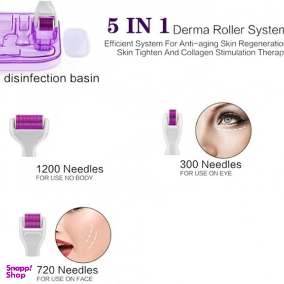 ماساژور دی ار اس مدل derma roller5 in 1 بسته 5 عددی