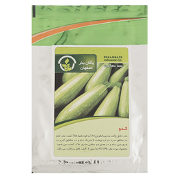 بذر کدو پاکان بذر