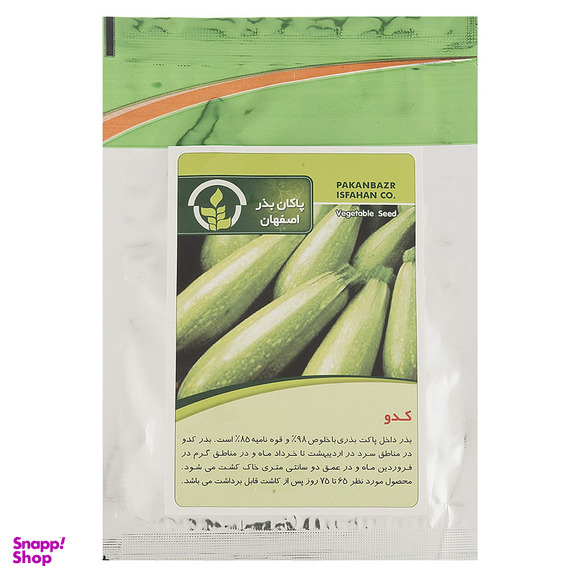 بذر کدو پاکان بذر