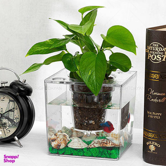 آکواریوم مدل دوزیست