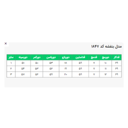 شومیز زنانه السانا مدل بنفشه کد 184781