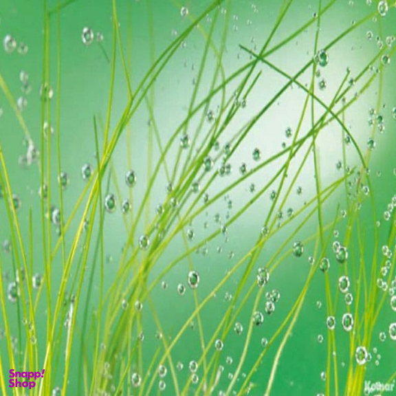 پوستر دیواری کومار مدل 889-8